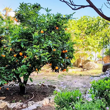 Paradise Garden Sea-view Local Style Villa *